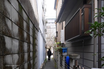 P1180386t