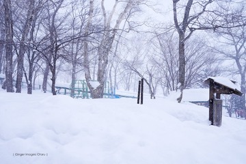 P1150378t