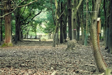 P1200113t