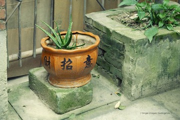 P1210731t