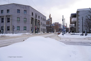 P1170917t