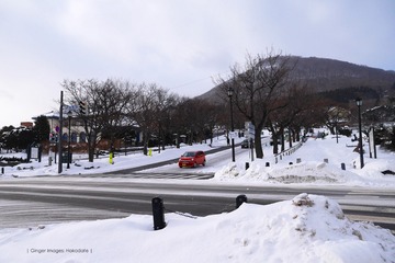 P1170929t