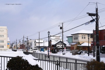 P1170930t