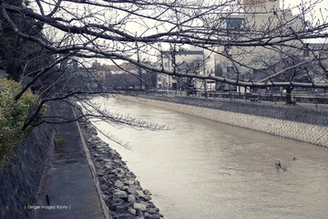 P1180391t