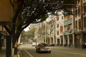 P1210747t