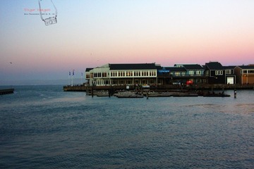 IMG_8970t