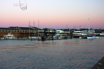 IMG_8971t