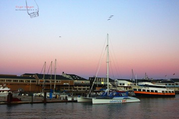 IMG_8977t