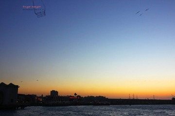 IMG_8982t