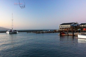 IMG_8990t