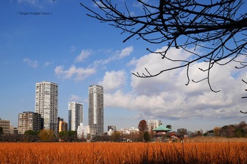 P1120281t
