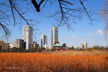 P1120318t