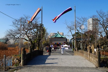 P1120323t