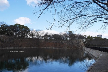P1210114t