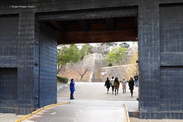 P1210116t