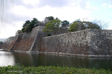 P1210117t