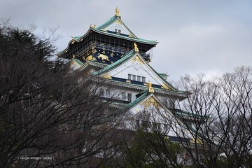 P1210133t