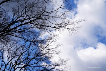 P1210136t