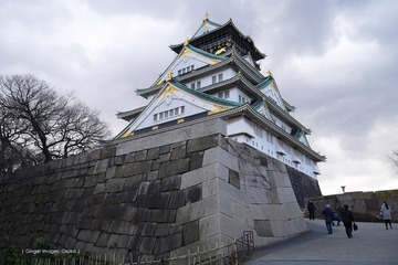P1210138t