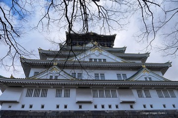 P1210147t