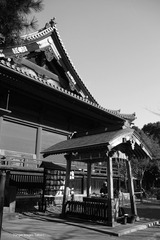 P1120358t