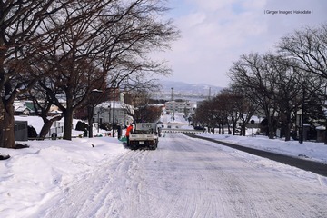 P1170945t