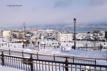P1170966t