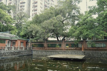 P1210773t