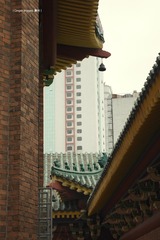 P1210795t