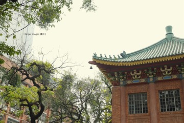 P1210808t
