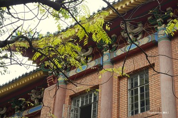 P1210811t