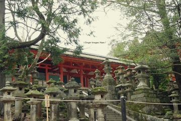 P1200223t