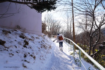 P1170132t