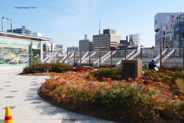 P1120435t