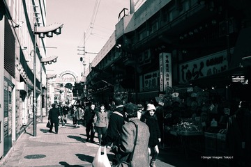 P1120449t