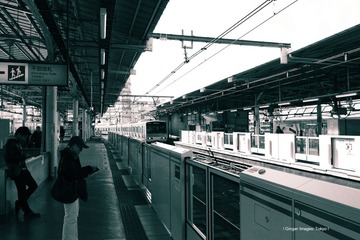 P1120464t