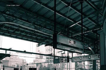 P1120468t