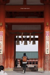 P1180424t