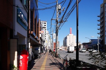P1130192t