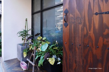 P1130197t