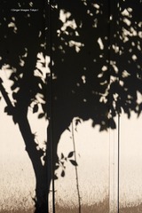P1130201t