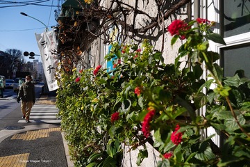 P1130202t