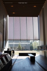 P1130212t