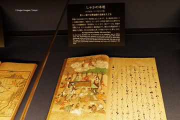 P1130233t