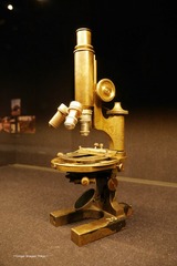 P1130240t
