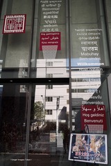 P1130278t