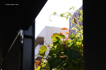 P1130264t