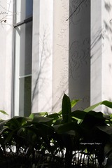 P1130265t
