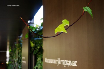 P1130268t