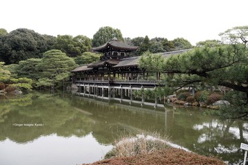P1180631t